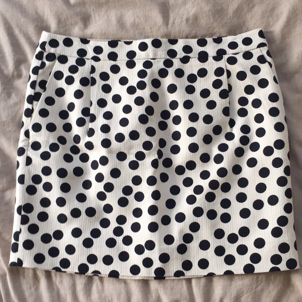 J. Crew skirt